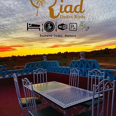Riad Dades Birds Boumalne Exteriér fotografie