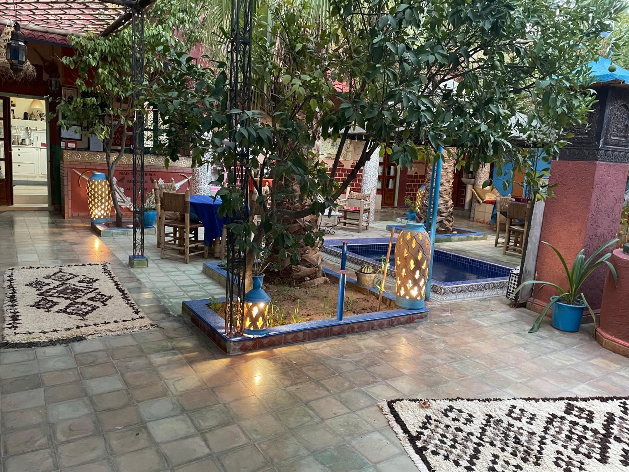 Riad Dades Birds Boumalne Exteriér fotografie